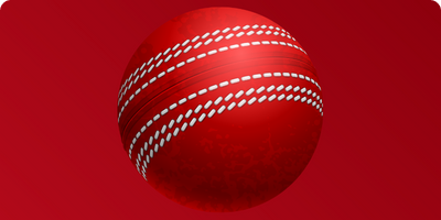 Startup Ecosystem Cricket Match